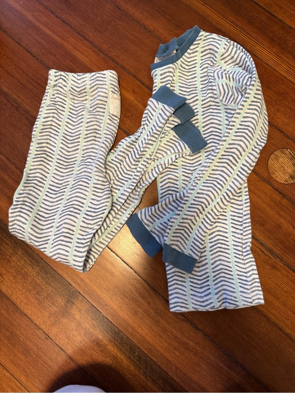 Burt’s Bees Blue Striped Pajama Set with Mint Accents